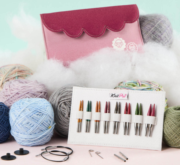Dreamz Mini Interchangeable Needle Set- 5cm
